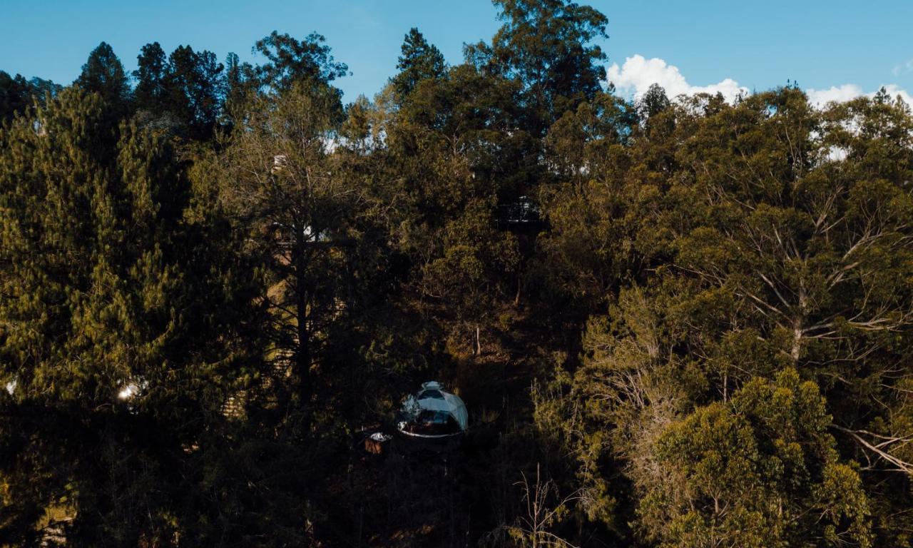 Domus Glamping Guatape Hotell Exteriör bild