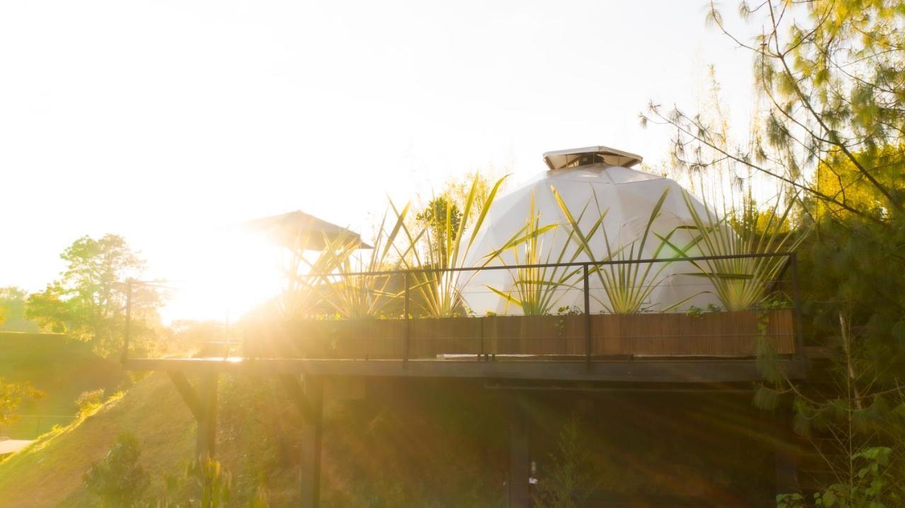 Domus Glamping Guatape Hotell Exteriör bild