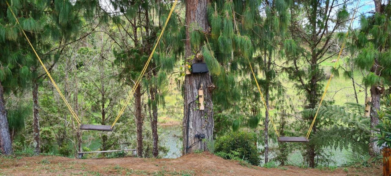Domus Glamping Guatape Hotell Exteriör bild
