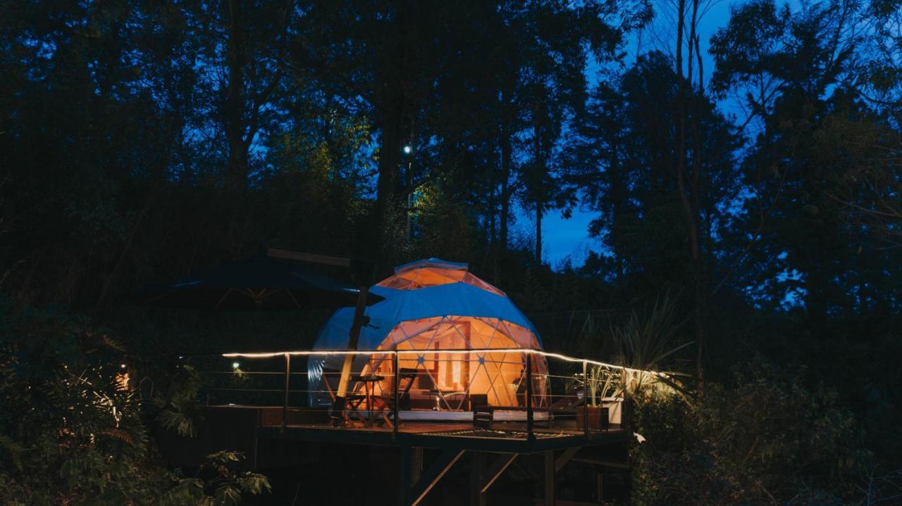 Domus Glamping Guatape Hotell Exteriör bild